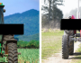 Farm assist? A brief look at ‘tractor sex’